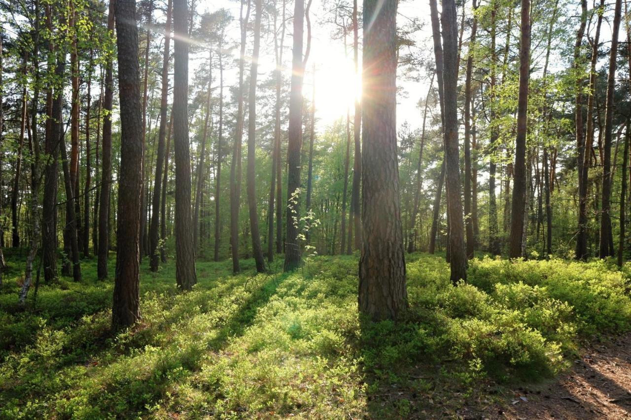 Ubytovani Na Sypce Bela  エクステリア 写真